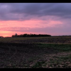 Meet your Posher, Abbie